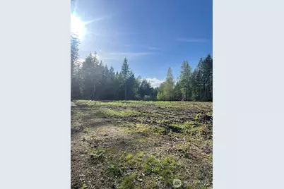 14253 W Cloquallum Road, Elma, WA 98546 - Photo 14
