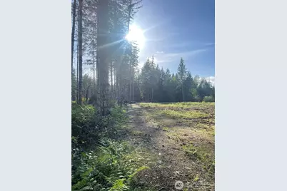 14253 W Cloquallum Road, Elma, WA 98546 - Photo 16