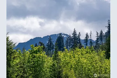 9999 Kruse Road, Port Angeles, WA 98362 - Photo 18