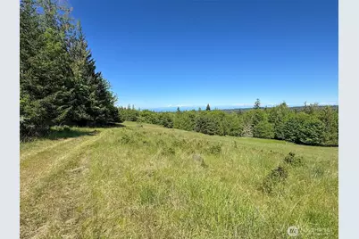 9999 Kruse Road, Port Angeles, WA 98362 - Photo 30