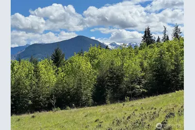 9999 Kruse Road, Port Angeles, WA 98362 - Photo 14