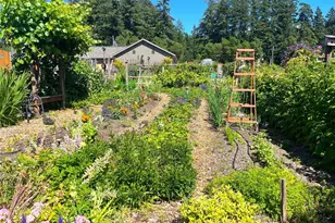 10303 Matthews Ave, Anderson Island, WA 98303 - Photo 32