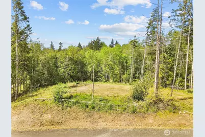 120 E Cascara Cove Lane, Shelton, WA 98584 - Photo 2