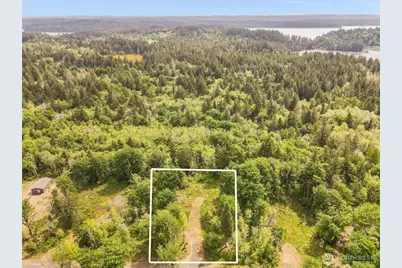 131 E Cascara Cove Lane, Shelton, WA 98584 - Photo 6