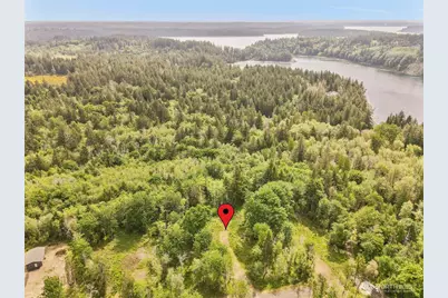 131 E Cascara Cove Lane, Shelton, WA 98584 - Photo 8