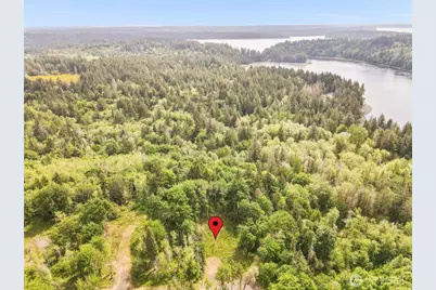 171 E Cascara Cove Lane, Shelton, WA 98584 - Photo 6