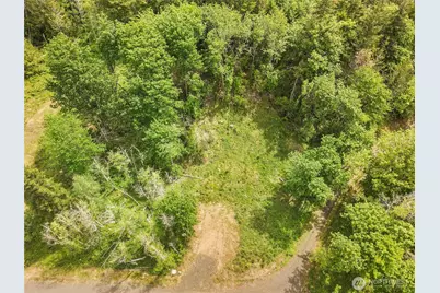171 E Cascara Cove Lane, Shelton, WA 98584 - Photo 8