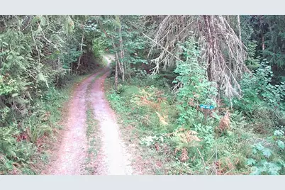 52914 131st Ave E, Eatonville, WA 98328 - Photo 14