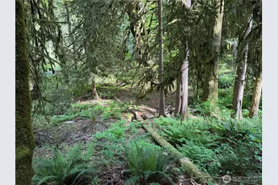 1111 Mountain Trail Road, Brinnon, WA 98320 - Photo 2