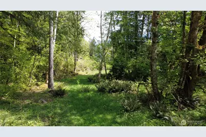 3263 Duckabush Road, Brinnon, WA 98320 - Photo 12