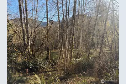 3263 Duckabush Road, Brinnon, WA 98320 - Photo 18