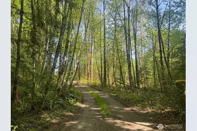 151 W Clark Rd, Shelton, WA 98584 - Photo 2
