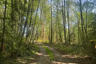 151 W Clark Rd, Shelton, WA 98584 - Photo 2