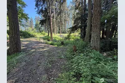 5860 Fish Road, Freeland, WA 98249 - Photo 10