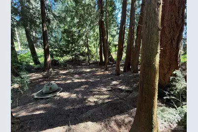 5860 Fish Road, Freeland, WA 98249 - Photo 14