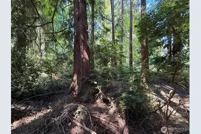 5860 Fish Road, Freeland, WA 98249 - Photo 12