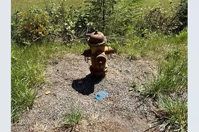 5860 Fish Road, Freeland, WA 98249 - Photo 16