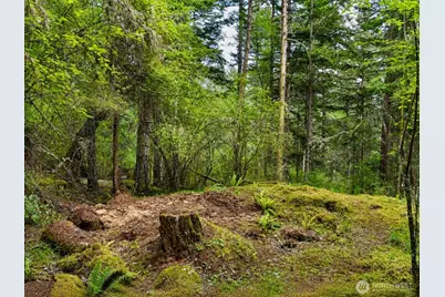 0 Xxx Garden Lane, Orcas Island, WA 98279 - Photo 4
