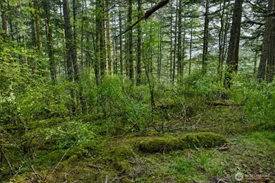 0 Xxx Garden Lane, Orcas Island, WA 98279 - Photo 10