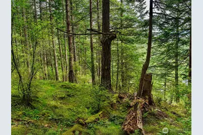 0 Xxx Garden Lane, Orcas Island, WA 98279 - Photo 26