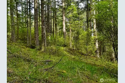 0 Xxx Garden Lane, Orcas Island, WA 98279 - Photo 32