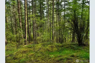 0 Xxx Garden Lane, Orcas Island, WA 98279 - Photo 12
