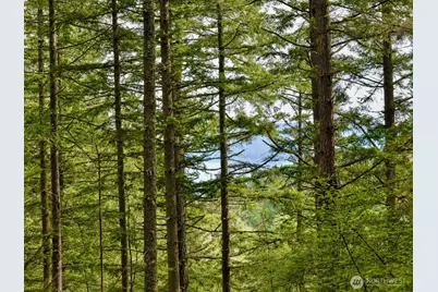 0 Xxx Garden Lane, Orcas Island, WA 98279 - Photo 2