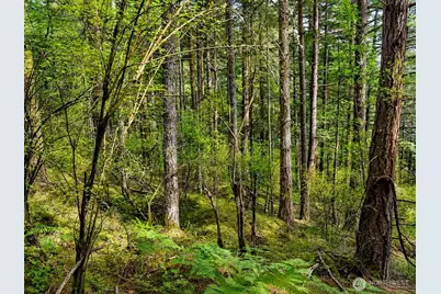 0 Xxx Garden Lane, Orcas Island, WA 98279 - Photo 24