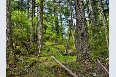 0 Xxx Garden Lane, Orcas Island, WA 98279 - Photo 30