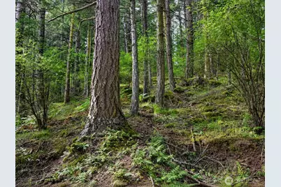 0 Xxx Garden Lane, Orcas Island, WA 98279 - Photo 14