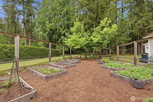 22408 NE 46th St, Redmond, WA 98053 - Photo 38