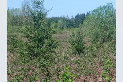 123 Meier Road, Winlock, WA 98596 - Photo 14