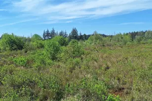 123 Meier Rd, Winlock, WA 98596 - Photo 1