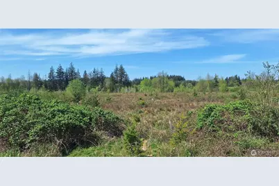 123 Meier Road, Winlock, WA 98596 - Photo 10