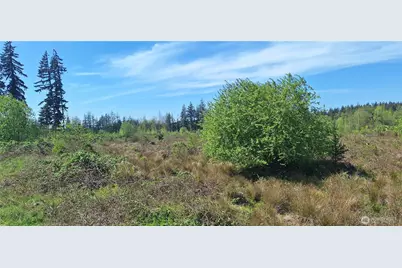 123 Meier Road, Winlock, WA 98596 - Photo 4
