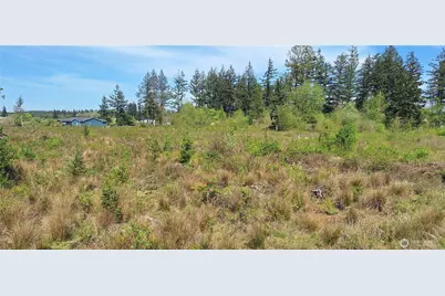 123 Meier Road, Winlock, WA 98596 - Photo 2