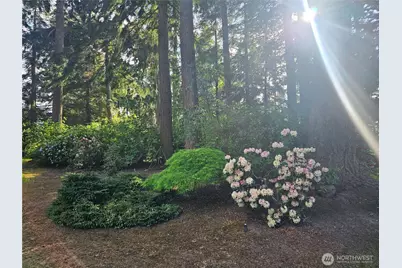 262 Misty Glen Lane, Sequim, WA 98382 - Photo 16