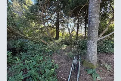 143 Aries Court SW, Ocean Shores, WA 98569 - Photo 10