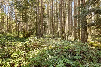 516 Gellor Road, Port Angeles, WA 98362 - Photo 26