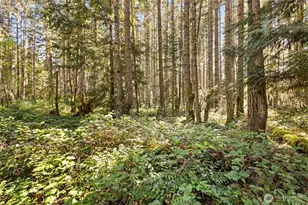 516 Gellor Rd, Port Angeles, WA 98362 - Photo 26