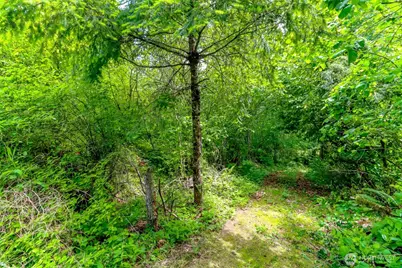 0 SE 287th Street, Kent, WA 98042 - Photo 8