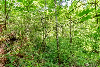 0 SE 287th Street, Kent, WA 98042 - Photo 18