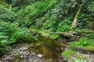21 Austin Creek Ln, Bellingham, WA 98229 - Photo 30