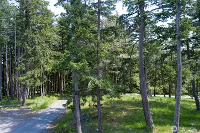 24 Mossyrock Road, Friday Harbor, WA 98250 - Photo 10