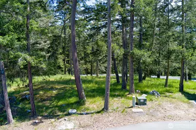 24 Mossyrock Road, Friday Harbor, WA 98250 - Photo 6