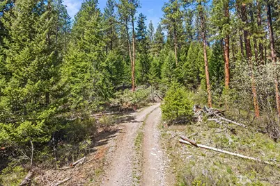 45 Xxxx Klondike, Republic, WA 99166 - Photo 4