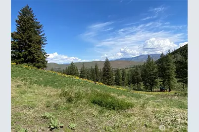 102 Elbow Canyon Road, Twisp, WA 98856 - Photo 6