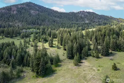 102 Elbow Canyon Road, Twisp, WA 98856 - Photo 4