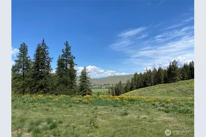 102 Elbow Canyon Road, Twisp, WA 98856 - Photo 1