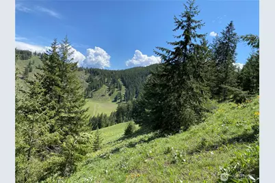 102 Elbow Canyon Road, Twisp, WA 98856 - Photo 10